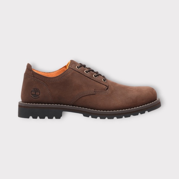 Mens Timberland Redwood Falls Lace-Up Waterproof Shoe in Dark Brown. TB0A699PW07
